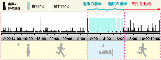 �y�O���t�z�D�G�Ȑ����p�^�[��