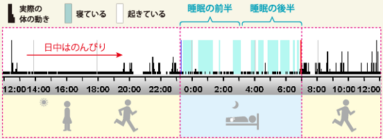 �y�O���t�z�D�G�Ȑ����p�^�[��