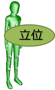 判定結果(立位)